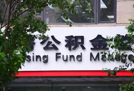 霸州公积金离职封存是什么意思（公积金 离职 封存）